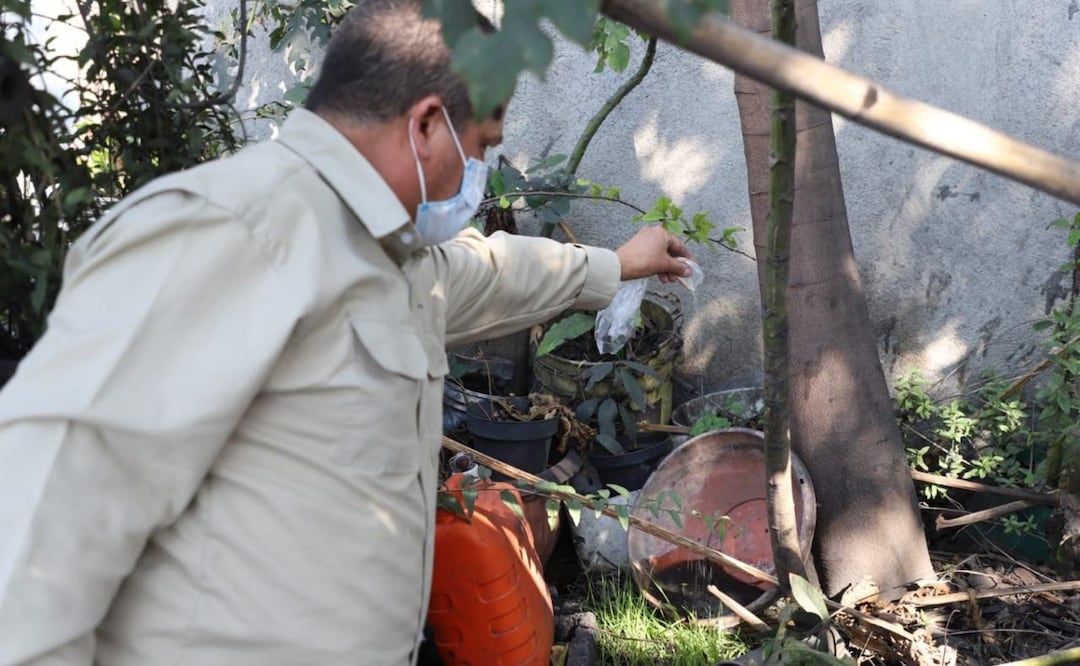 En Tamaulipas se han registrado 82 casos de dengue, informa la autoridad de Salud del Gobierno del Estado. Foto: Especial