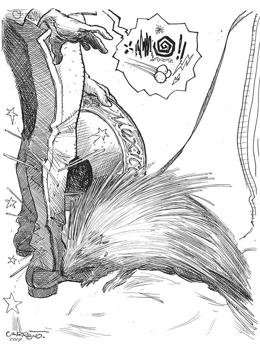 El puercoespín de Trump