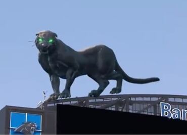 Espectacular pantera virtual aparece en el Bank of America Stadium