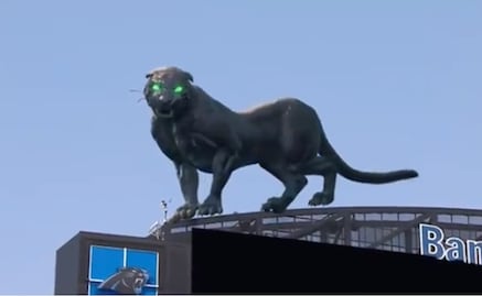 Espectacular pantera virtual aparece en el Bank of America Stadium