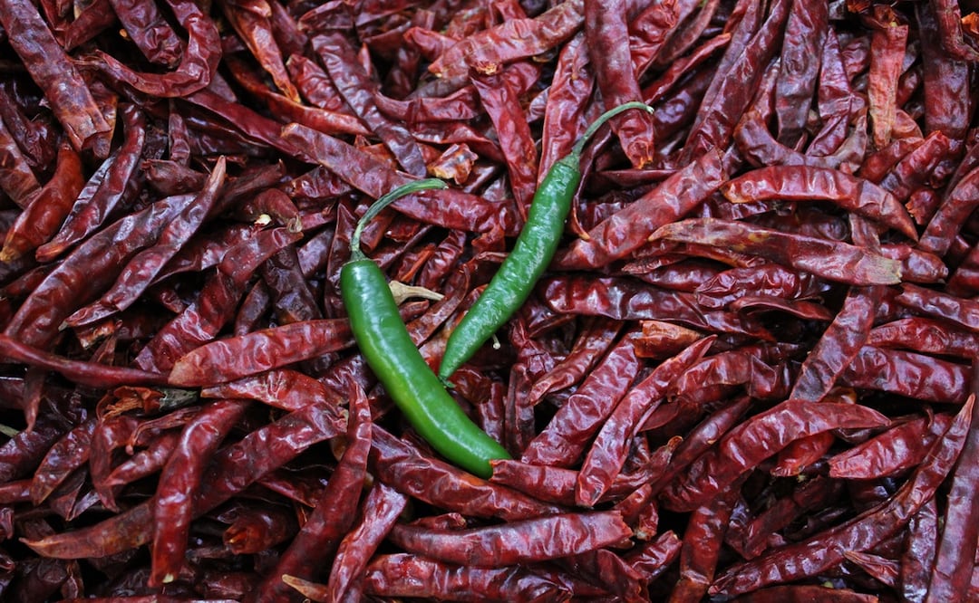En nuestro país, el chile es un ingrediente fundamental en la comida. Foto: Alan Nájera / EL UNIVERSAL