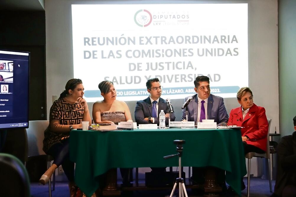 Reunión de Comisiones Unidas de Justicia, Diversidad y Salud de la Cámara de Diputados. Foto: Especial