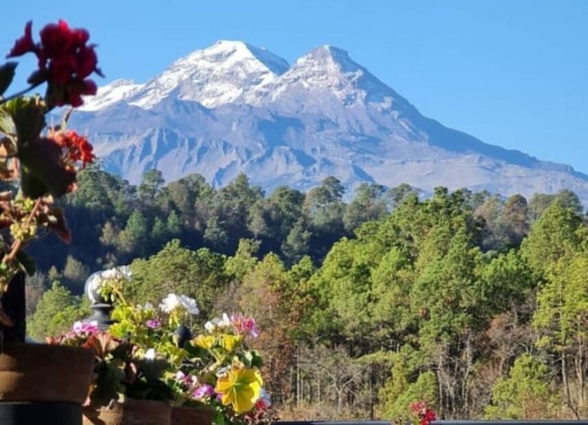 Alpinia, el parque donde se encuentra el laberinto más grande de México 