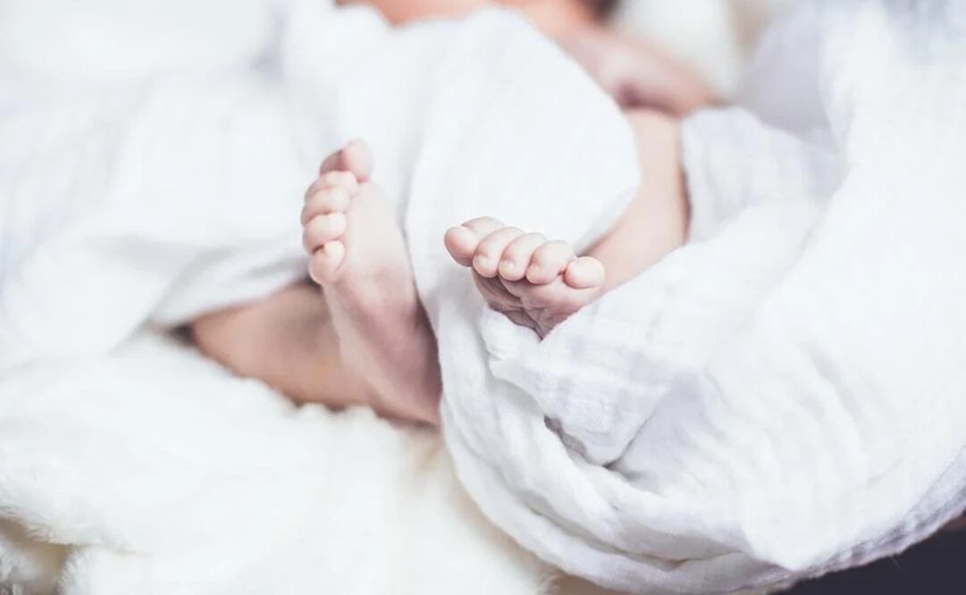 Foto: Ilustrativa. Pixabay