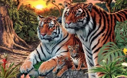 ¿Cuántos tigres ves? El nuevo reto viral