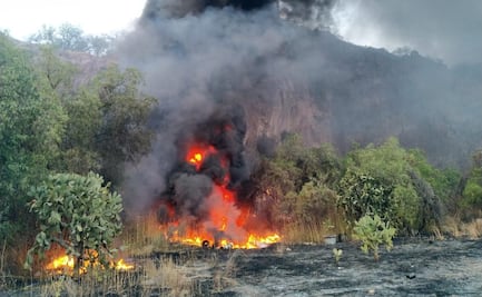Reportan incendio de pastizales en Colinas de San José, Tlalnepantla