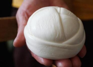 ¿Qué beneficios para la salud brinda el queso Oaxaca, nombrado quinto mejor del mundo?