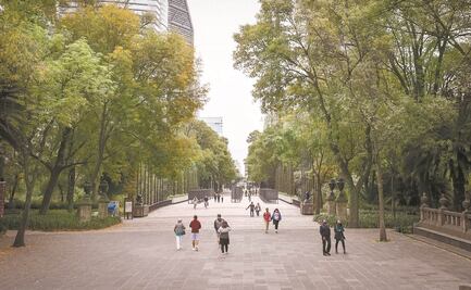 Sin Plan Maestro, pero pavimentan aquí y allá en Chapultepec