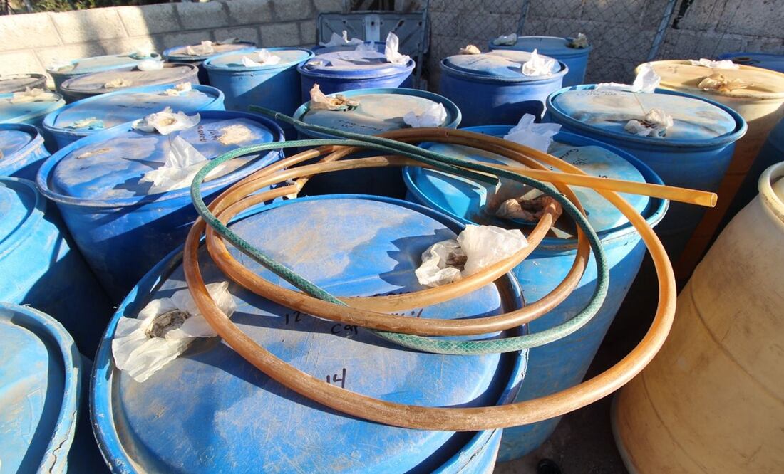 El diputado Federico Döring pidió a la presidenta Claudia Sheinbaum hacer públicos los nombres de los funcionarios involucrados en el huachicol. Foto: Especial