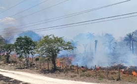 Queman rancho en Juquipilas, Chiapas; el inmueble está ligado a dueños de empresa porcina y avícola