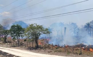 Queman rancho en Juquipilas, Chiapas; el inmueble está ligado a dueños de empresa porcina y avícola