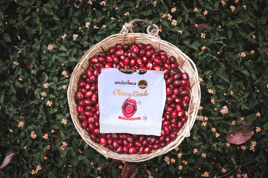 Cosecha de café Pluma Hidalgo. Foto: especial