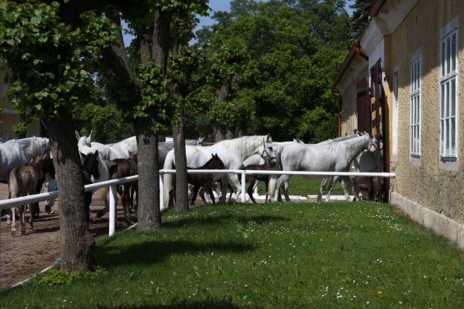 Estos son los nuevos sitios Patrimonio de la Humanidad por la UNESCO
