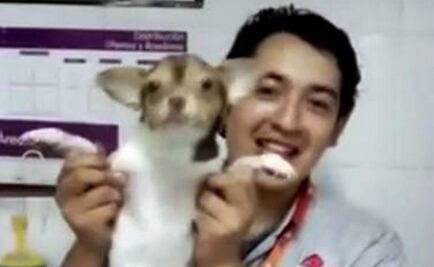 Outrage at animal abuse at Maskota store in Pachuca