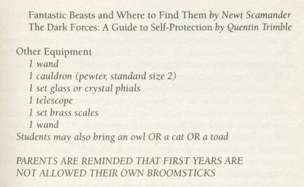 A subasta, versión errada de "Harry Potter y la piedra filosofal"