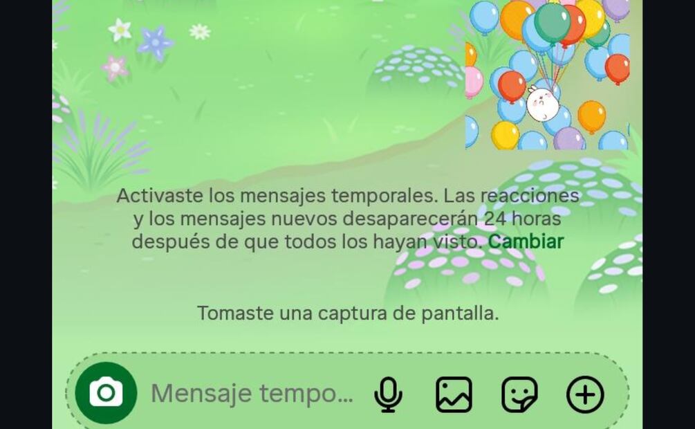 Instagram notifica cuando tomas una captura de pantalla sólo con los mensajes temporales activos. Foto: Captura de pantalla