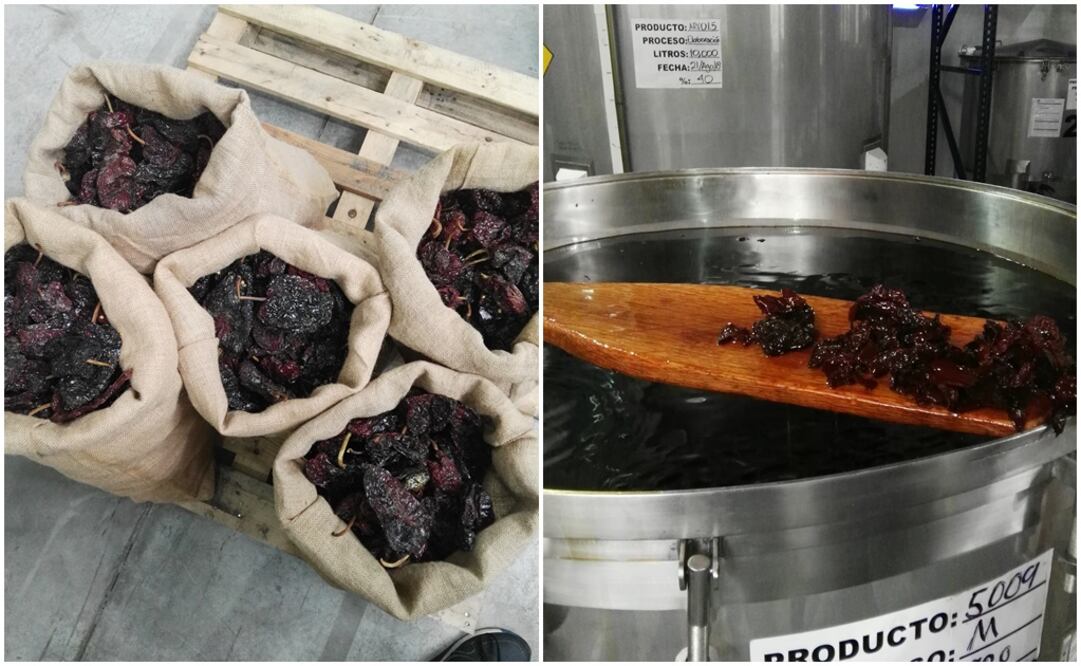 Fotos: Rodrigo Guerrero