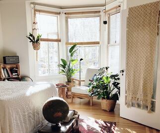 Plantas colgantes, el regreso del macramé