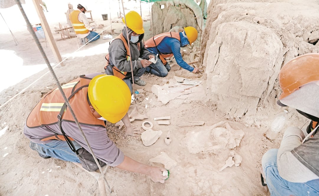 Imagen de junio pasado, cuando durante los trabajos para el aeropuerto internacional de Santa Lucía se realizó un importante hallazgo de restos óseos de mamut. Fotos: ARCHIVO EL UNIVERSAL
