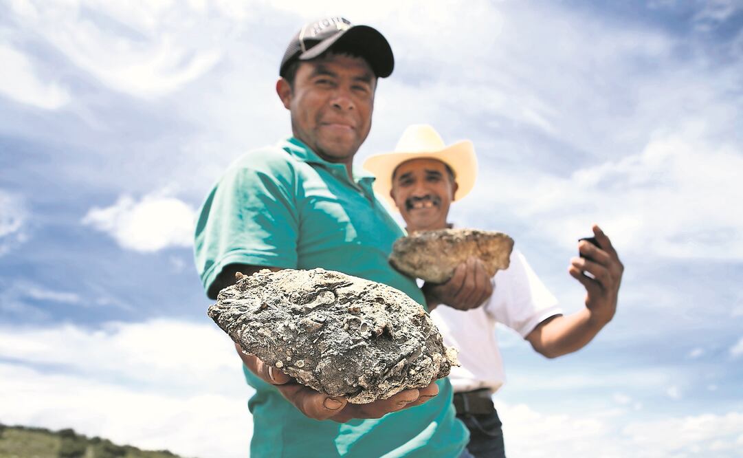 Piedras halladas en la mixteca oaxaqueña podrían demostrar que hace millones de años la región pudo ser un santuario marino. Según funcionarios, hace 400 millones de años, la tierra estaba cubierta por agua. (MARIO MARTÍNEZ. EL UNIVERSAL)