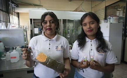 Alumnas del IPN generan combustible limpio a partir de agua contaminada 