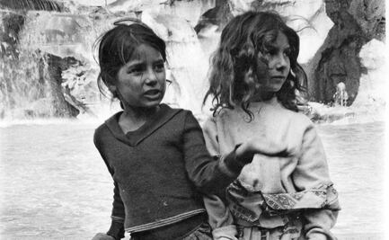 Después del trauma “Walt Disney” (IV)