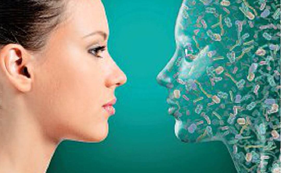 Millones de microorganismos habitan en distintas partes de nuestro cuerpo (Foto: ESPECIAL)