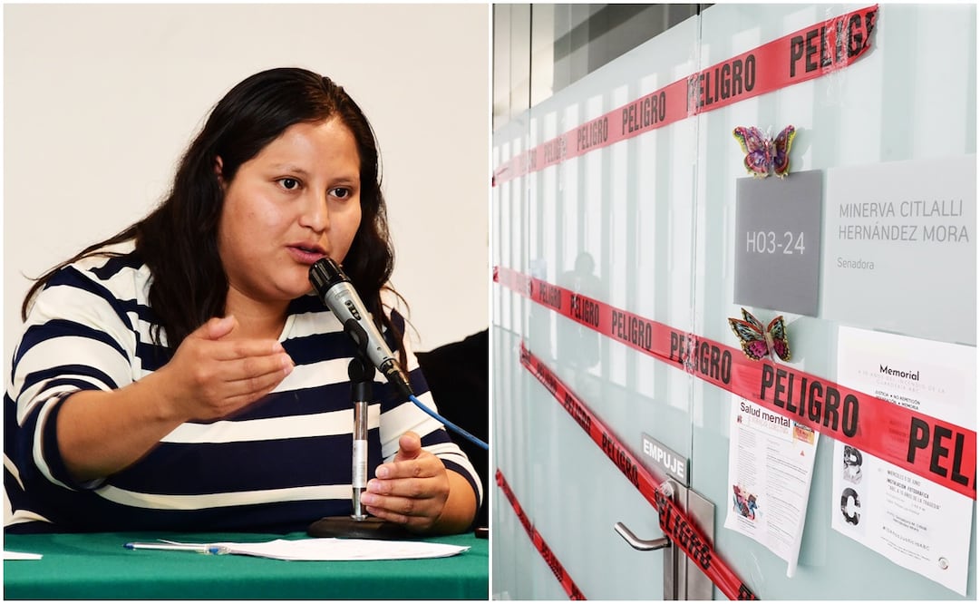 Senadora Citlalli Hernández (Morena). Foto: Especial