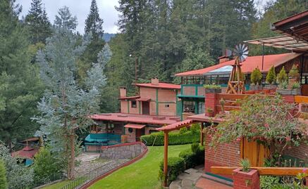 Las Manzanas, cabañas en el bosque a 1 hora de CDMX 