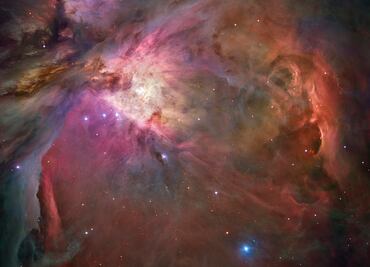 La reproducción sería posible en el espacio, según un experimento