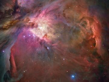 La reproducción sería posible en el espacio, según un experimento