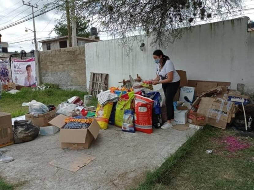 La inundación arrastró perros en Tula, pero "Copito" logró sobrevivir