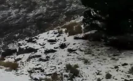 Cofre de Perote registra nueva nevada