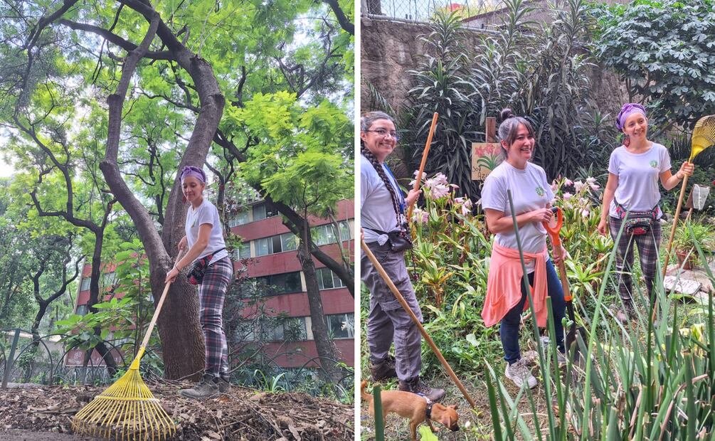 Iniciativa de actividades ambientales que reverdece Tlatelolco.
Foto: Isea Hinojoza