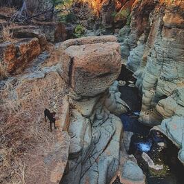 Buckingham sí está en México, conoce este peculiar destino 