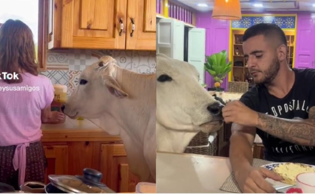 Matilda  pide comida a sus familiares como un perro. Foto: TikTok: @matildeysusamigos