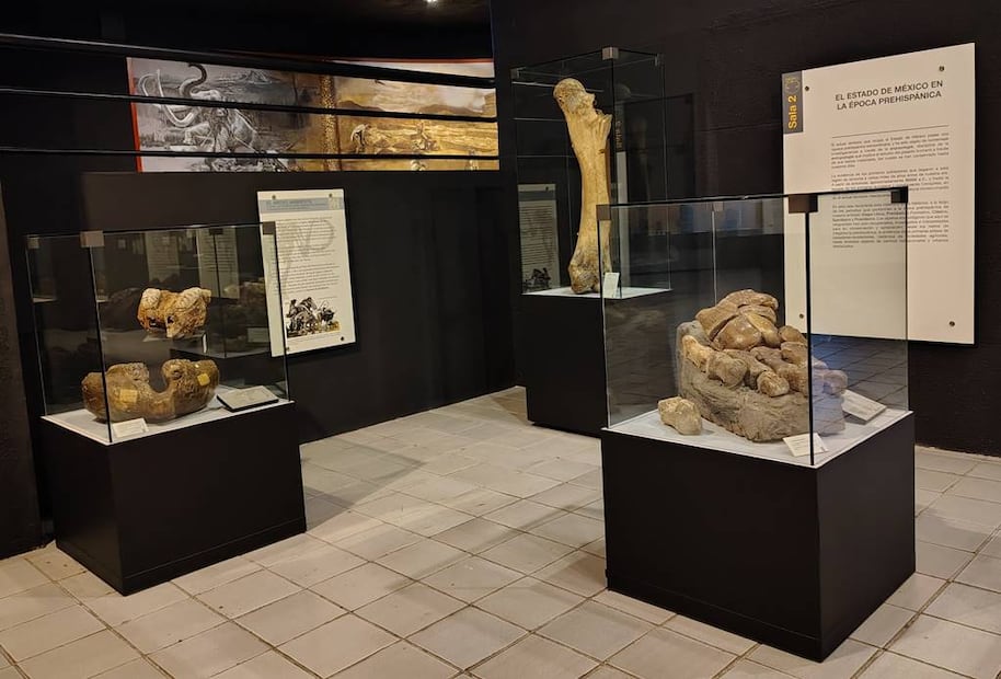 Foto: Museo de Antropología e Historia del Estado de México