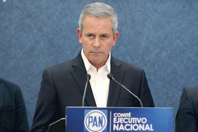 “No minimizamos lo que hizo”, dice presidente del PAN