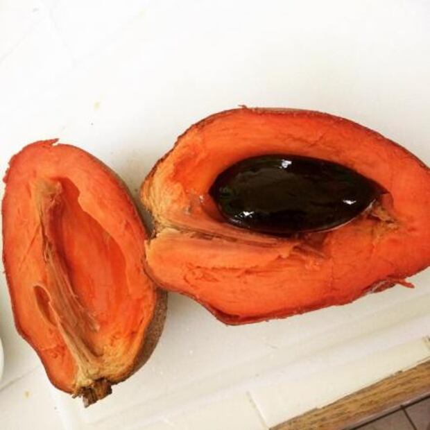 Los beneficios de las frutas y verduras de temporada