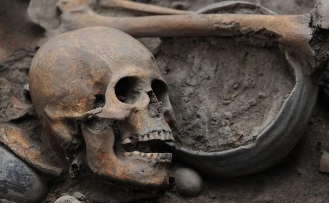 Human remains found in dig site in Tlalpan - Photo: Courtesy of Mauricio Marat/INAH