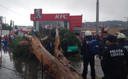 Tras granizada y fuertes vientos, muere hombre en su auto al caerle un árbol en Ecatepec