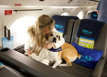 Estas son las aerolíneas más pet friendly del mundo