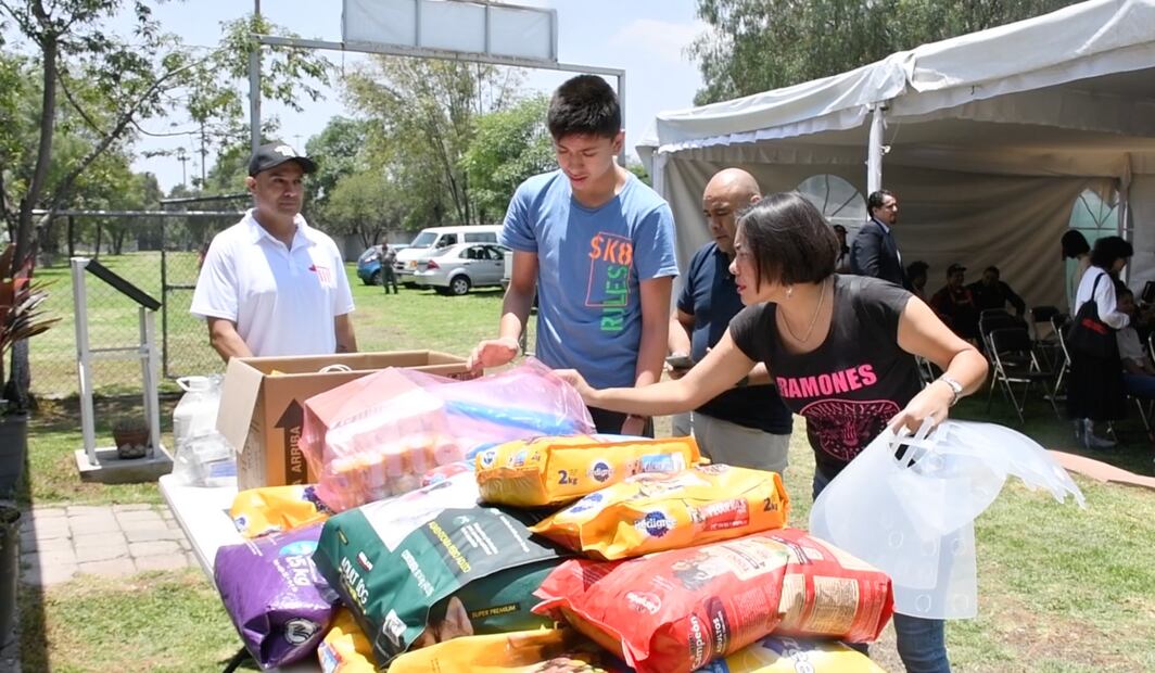 Perritos recibirán donaciones en el Croquetón 2023. FOTO: Especial/ EL UNIVERSAL/
