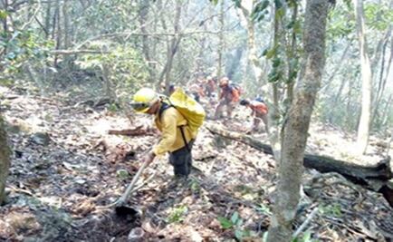 Incendio consume 80 hetáreas en Cañón del Sumidero
