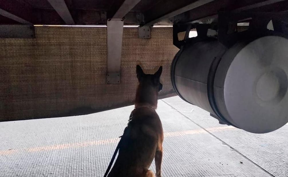Elementos de la Agencia Nacional de Aduanas de México (ANAM), la Secretaría de Seguridad y Protección Ciudadana (SSPC) y Guardia Nacional (GN) aseguraron 75.9 kilos de cocaína en Tijuana, Baja California. Foto: X @GabSeguridadMX