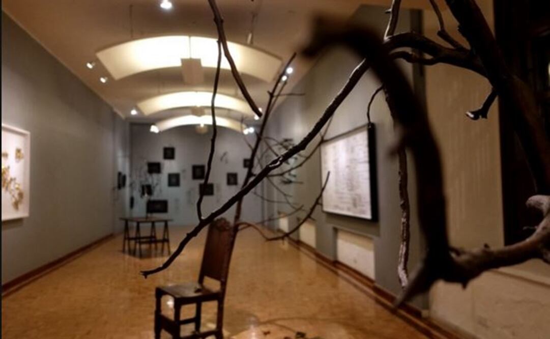 Foto: Tomada de Twitter @imatiasromero