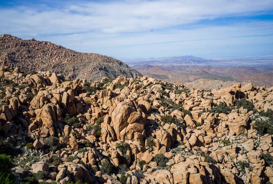 Foto: Secture Baja California