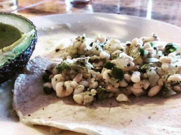 Los escamoles aportan más proteínas que la carne