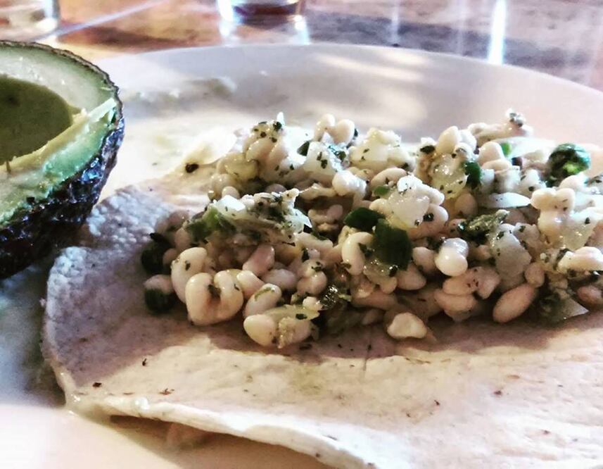 Los escamoles contienen altos valores de proteínas / Foto: Facebook