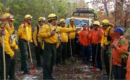 Registra Conafor 115 incendios forestales en el país; 58 están activos